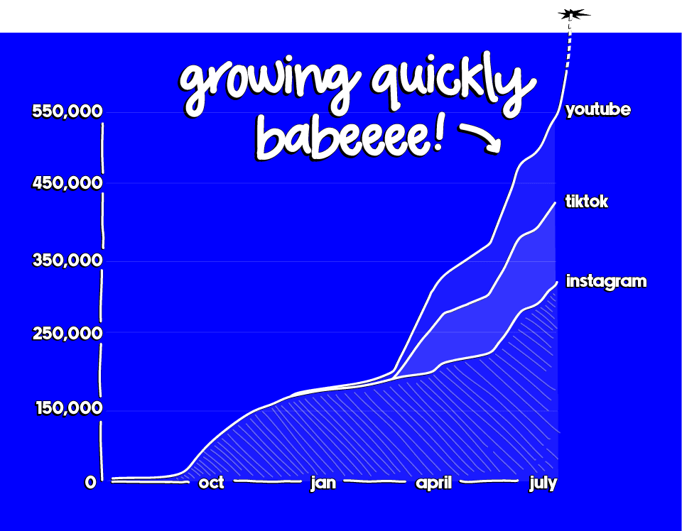 05 Followers Graph Updated copy@0.5x